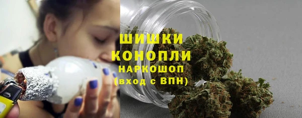 хмурый Богородск