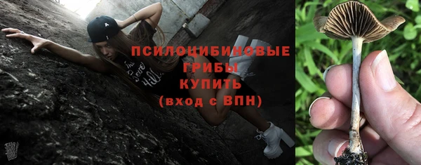 не бодяженный Богородицк
