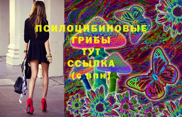 хмурый Богородск