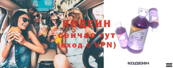 хмурый Богородск